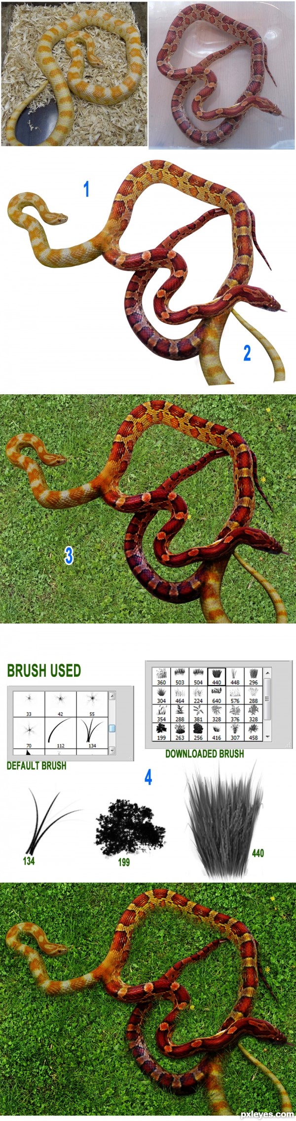 Creation of twins snake: Step 1