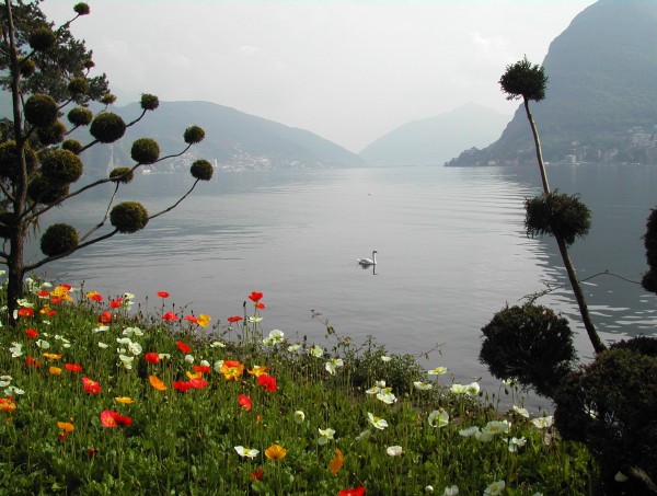 Spring on the lake