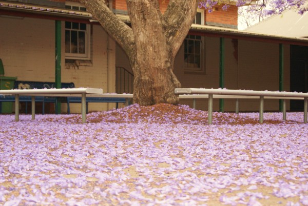 Empty School Ground