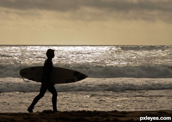 Surfs Up!