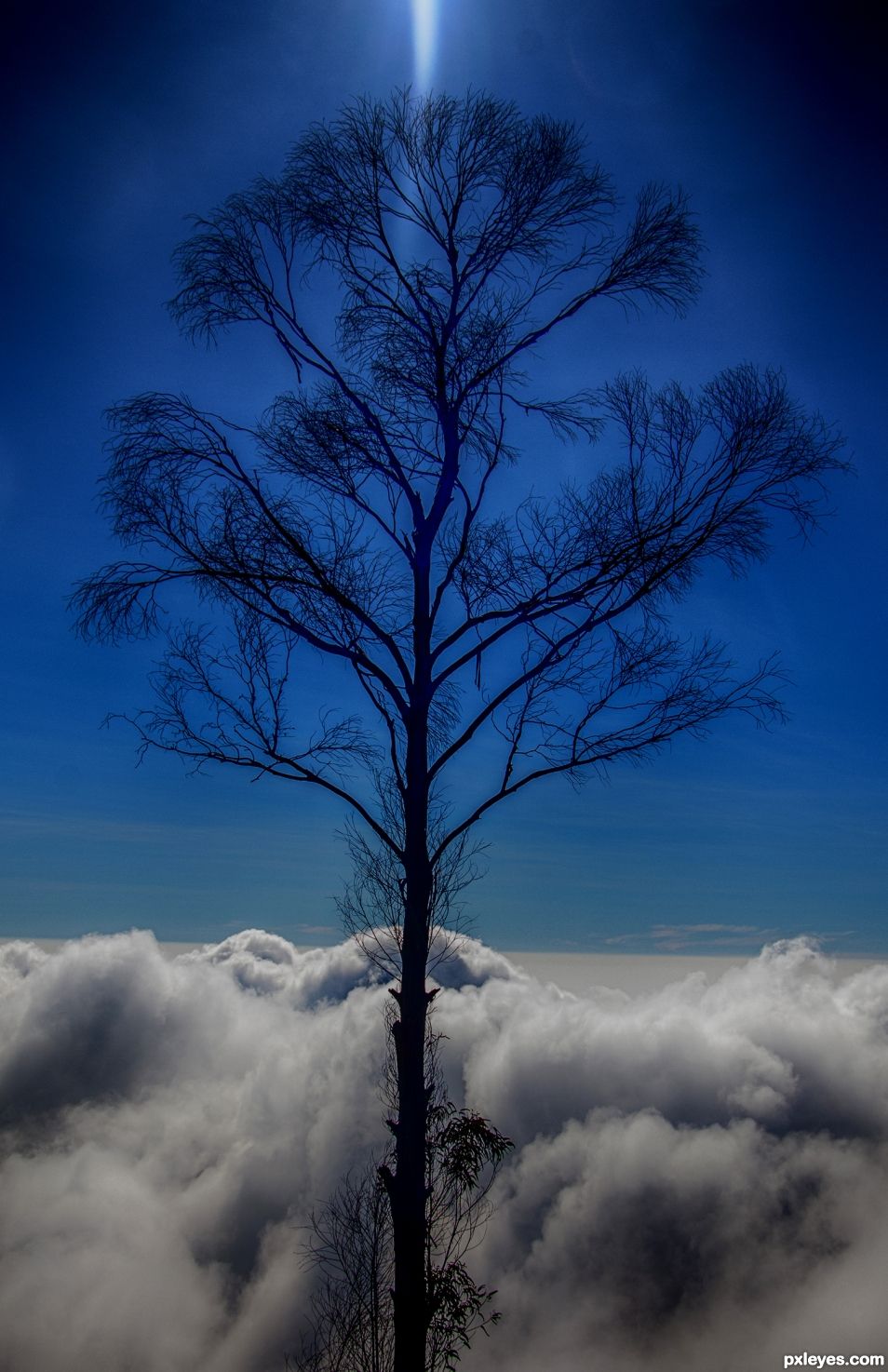 Floating In The Clear Blue Yonder