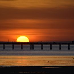 BeyondthePier