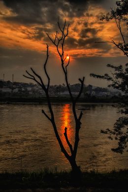 Mekong Morning