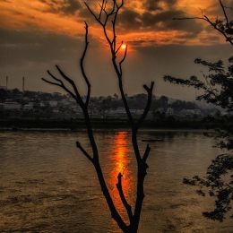 Mekong Morning Picture