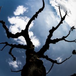 sky