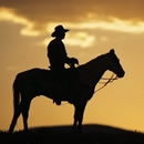silhouettes photography contest
