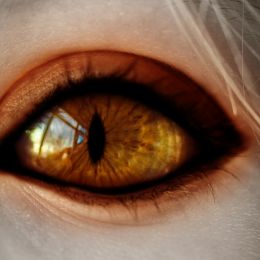 CatEye