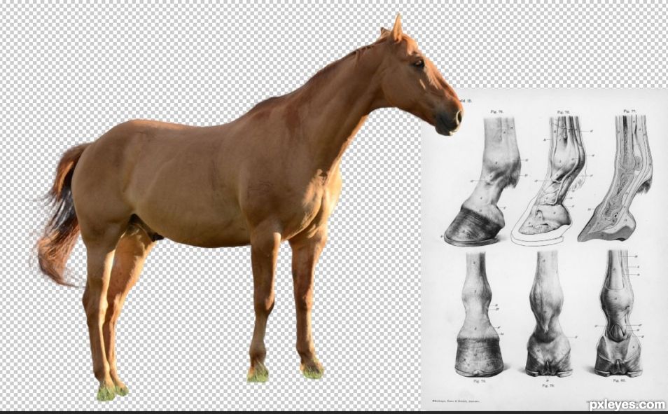 Creation of High Horse: Step 3