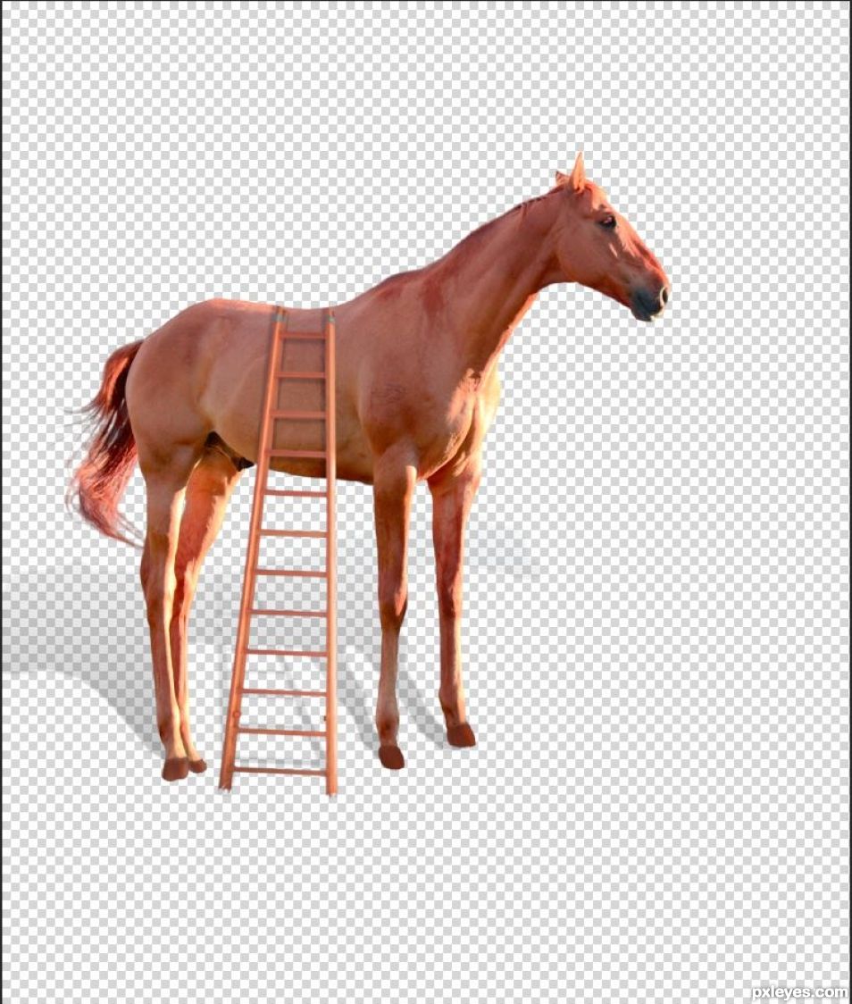 Creation of High Horse: Step 9