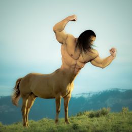 Centaur