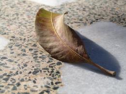 nameless Picture