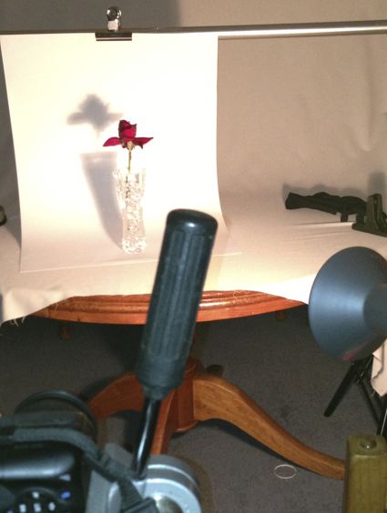 Creation of Single rose: Step 1