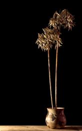 StillLife