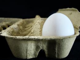 ONE EGG