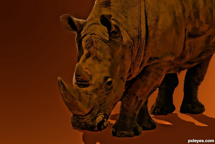 rhino 