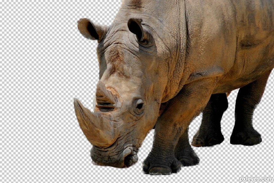 Creation of rhino : Step 1