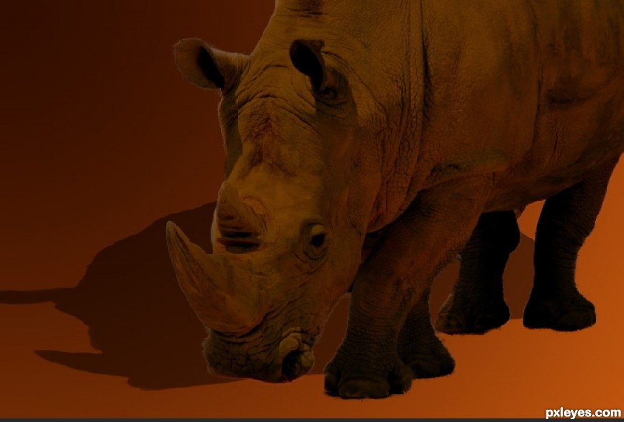 Creation of rhino : Step 5