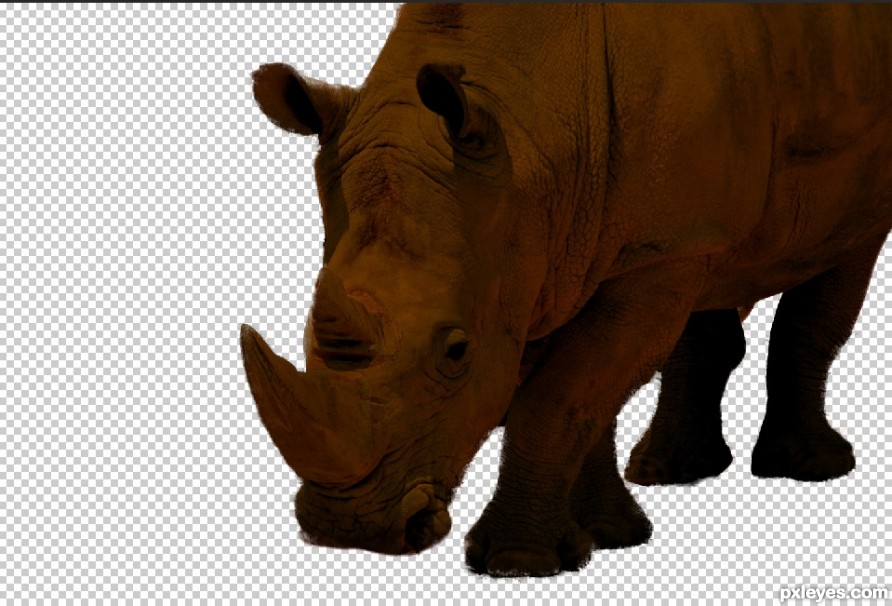 Creation of rhino : Step 6