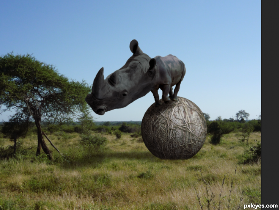 Creation of Rhinoceros Bignogginus: Step 4