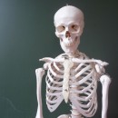 skeleton photoshop contest