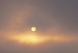 Sun in fog