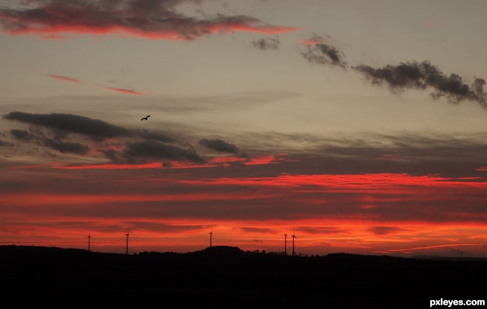 Fiery Sunrise