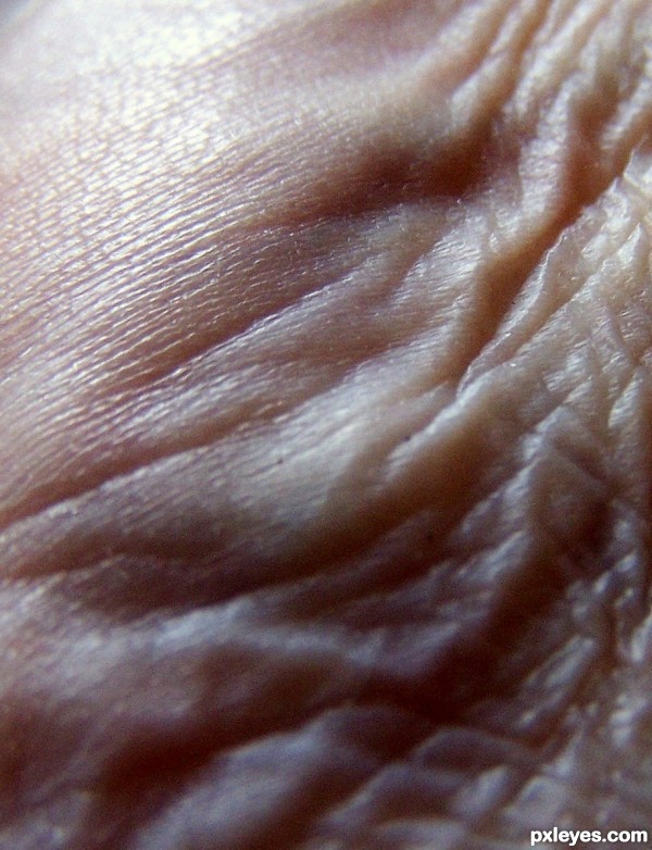 Wrinkle