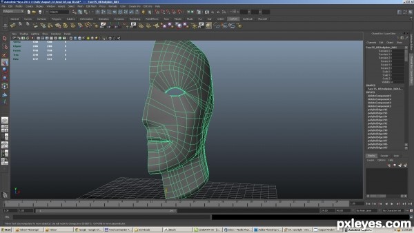 Creation of skin render: Step 7