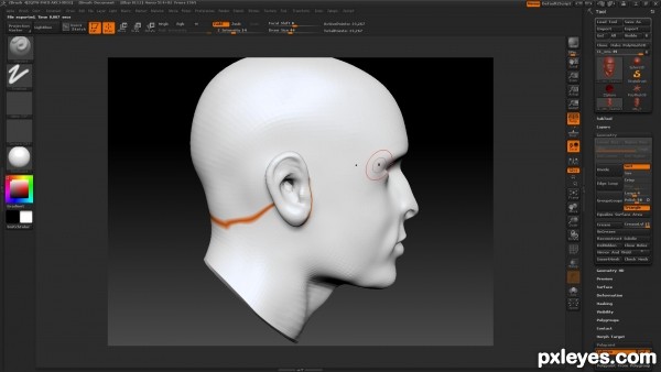 Creation of skin render: Step 10