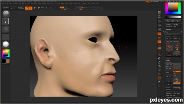 Creation of skin render: Step 18