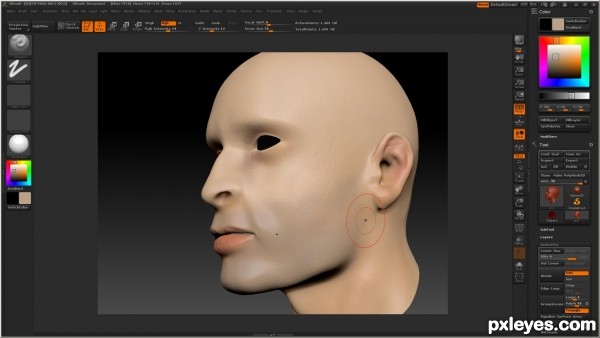 Creation of skin render: Step 19