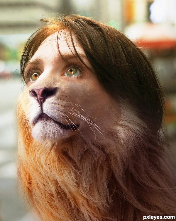 Lioness photoshop picture)