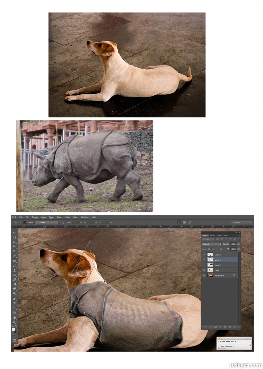 Creation of Rhino Dog: Step 1