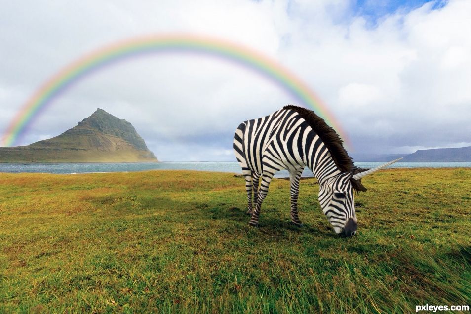 Rainbow and zebrunicorn