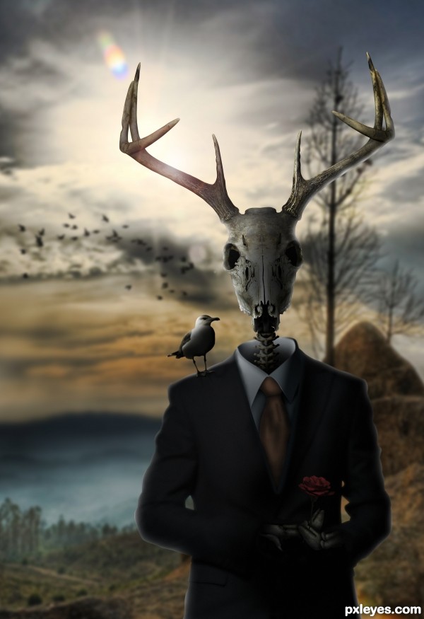 Creation of Sharp Dressed Deer.: Final Result