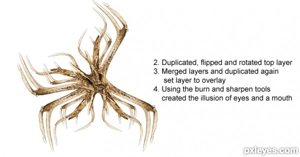 Creation of Bog Monster: Step 2