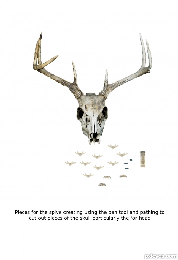 Creation of Sharp Dressed Deer.: Step 3