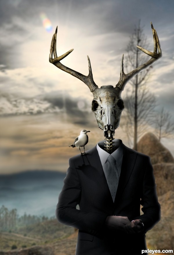 Creation of Sharp Dressed Deer.: Step 9