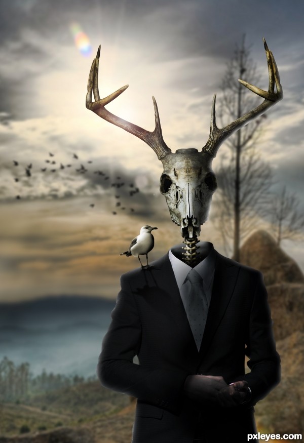 Creation of Sharp Dressed Deer.: Step 10
