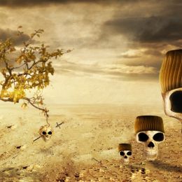 The Skully Desert Picture