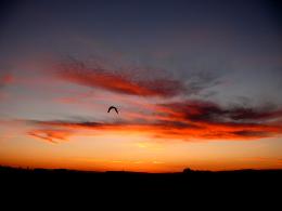 After Sunset Picture