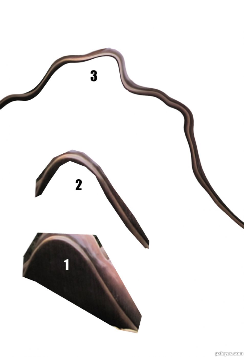 Creation of  Little Bird: Step 1