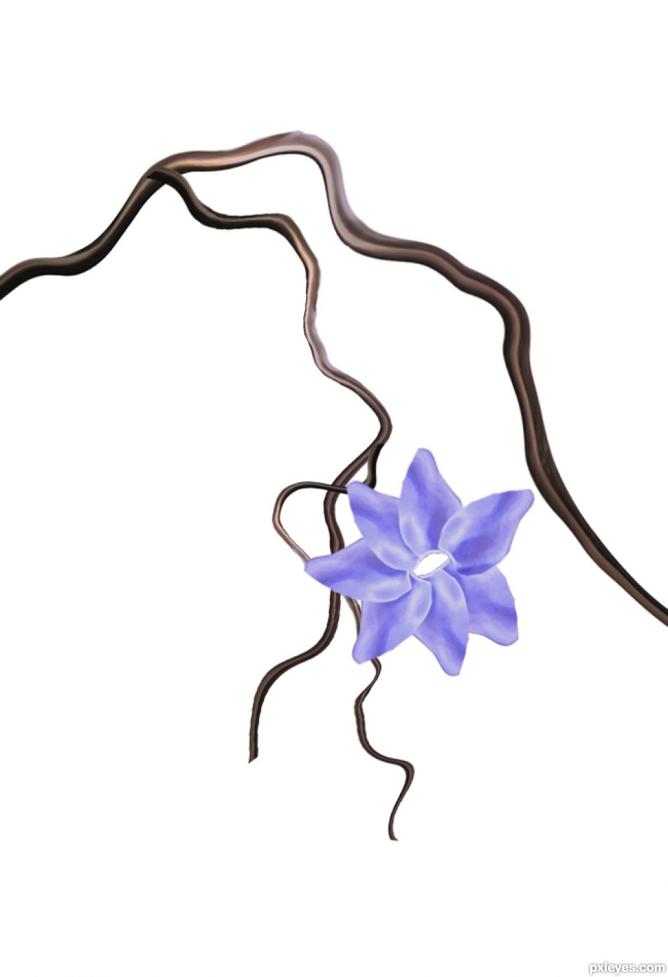Creation of  Little Bird: Step 4