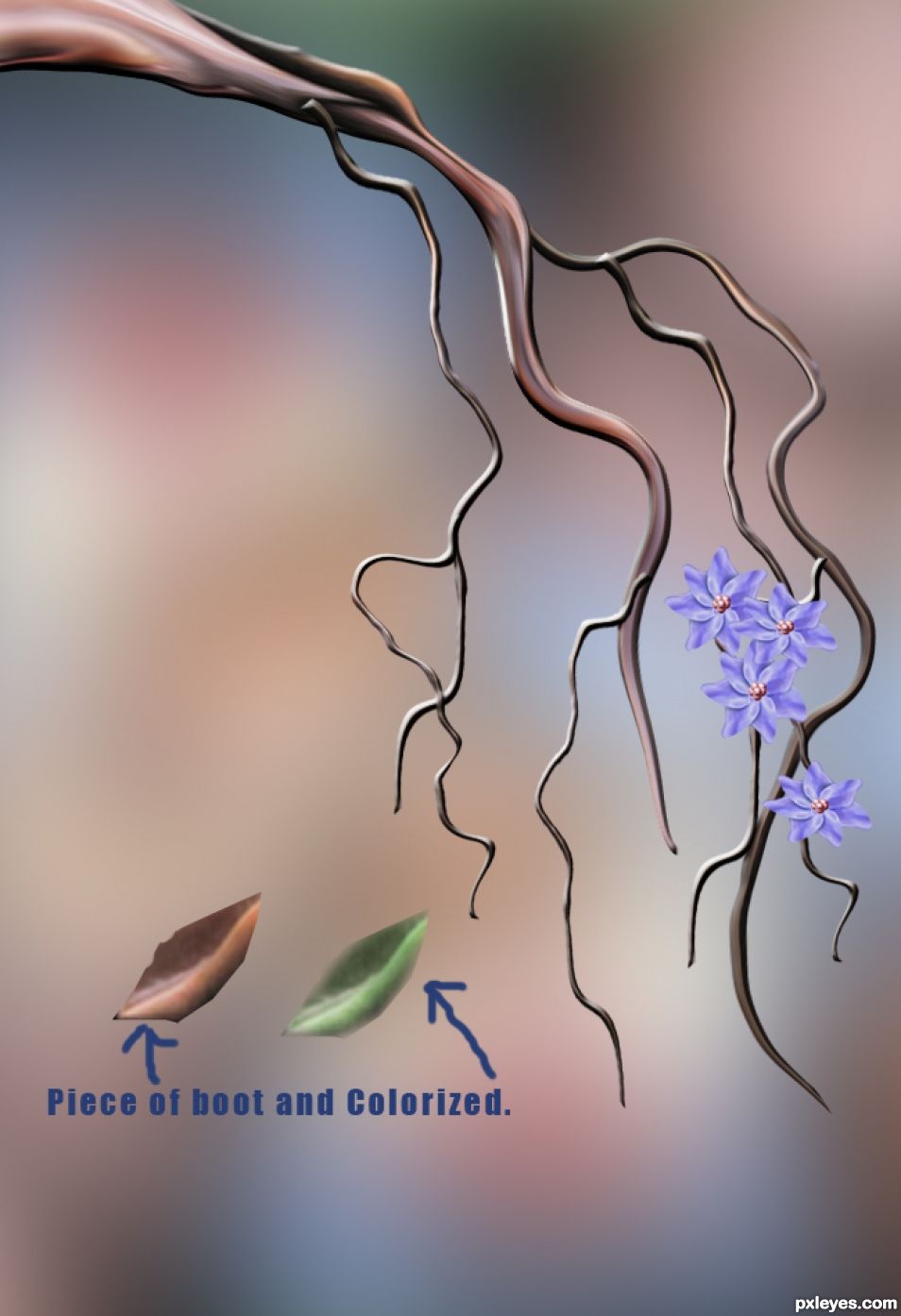 Creation of  Little Bird: Step 8