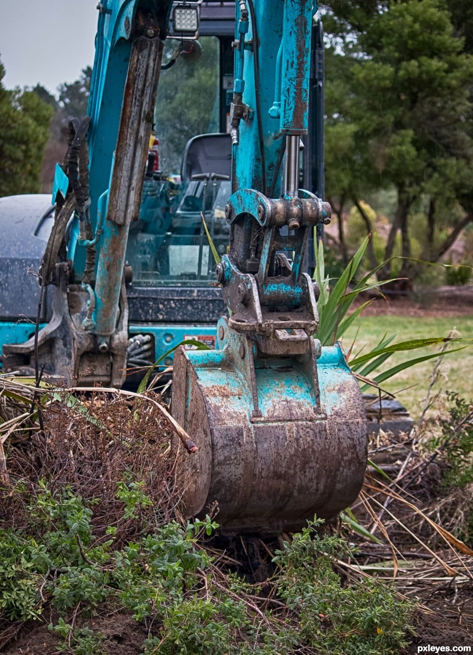 digging in