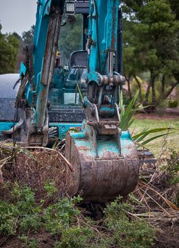 digging in