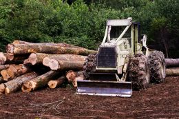 Logger