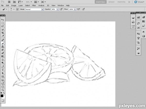 Creation of lime,orange and grape fruits: Step 2