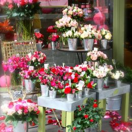 AuNomDeLaRose