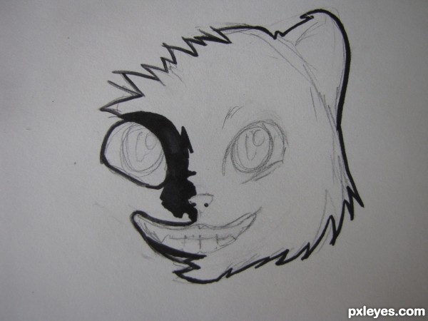 Creation of Cheshire: Step 1